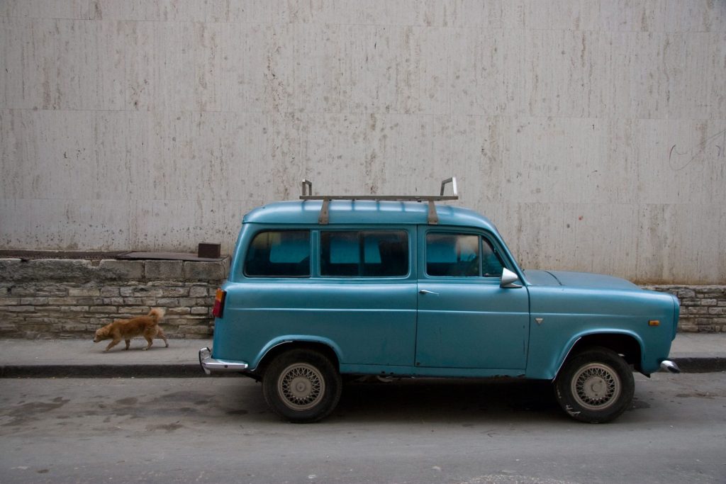 Havana: Dog Car