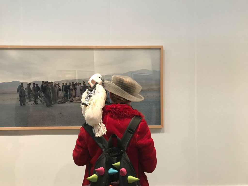 NYC: Bird